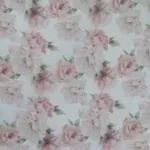 pink rose.